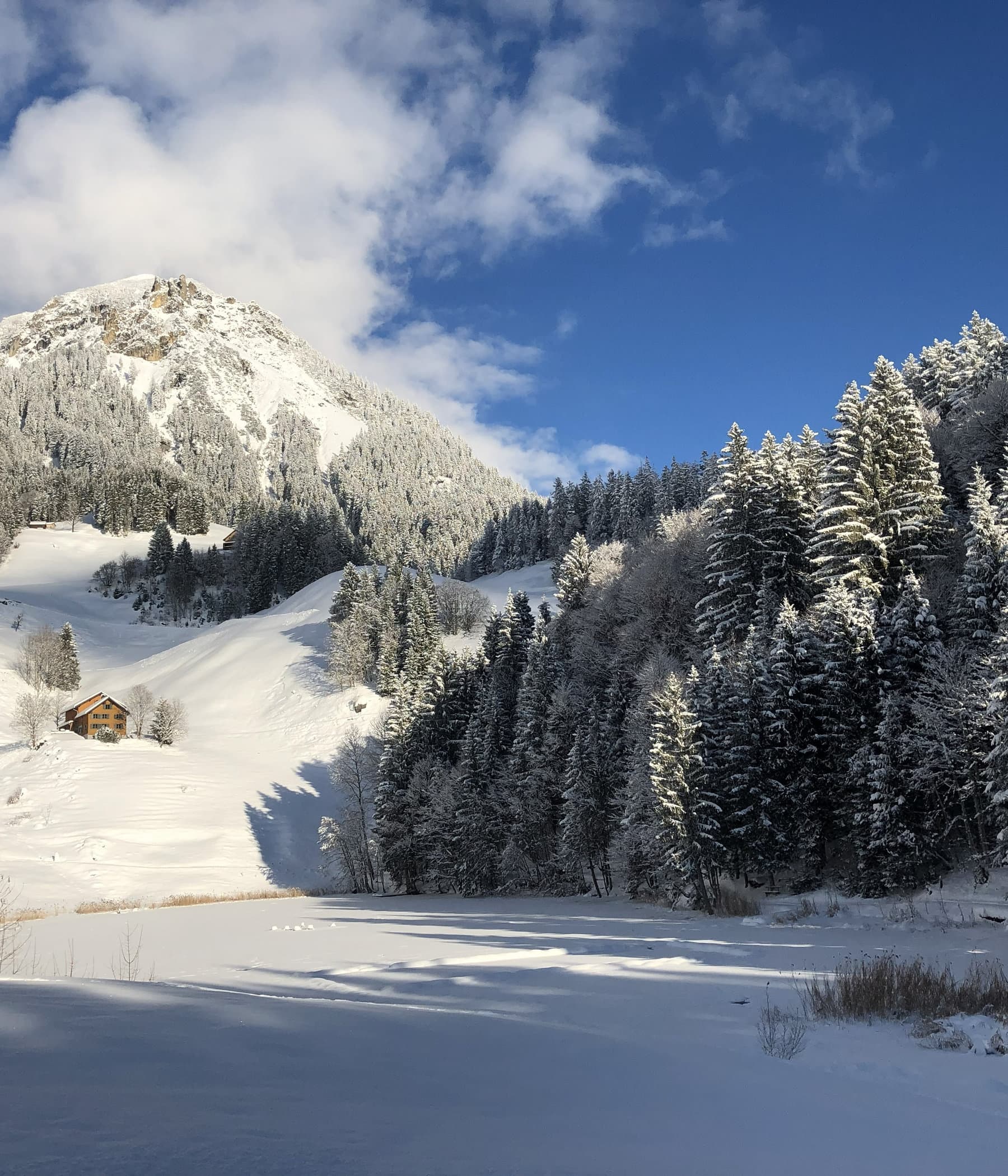 Der gefrorene Seewaldsee im Winter